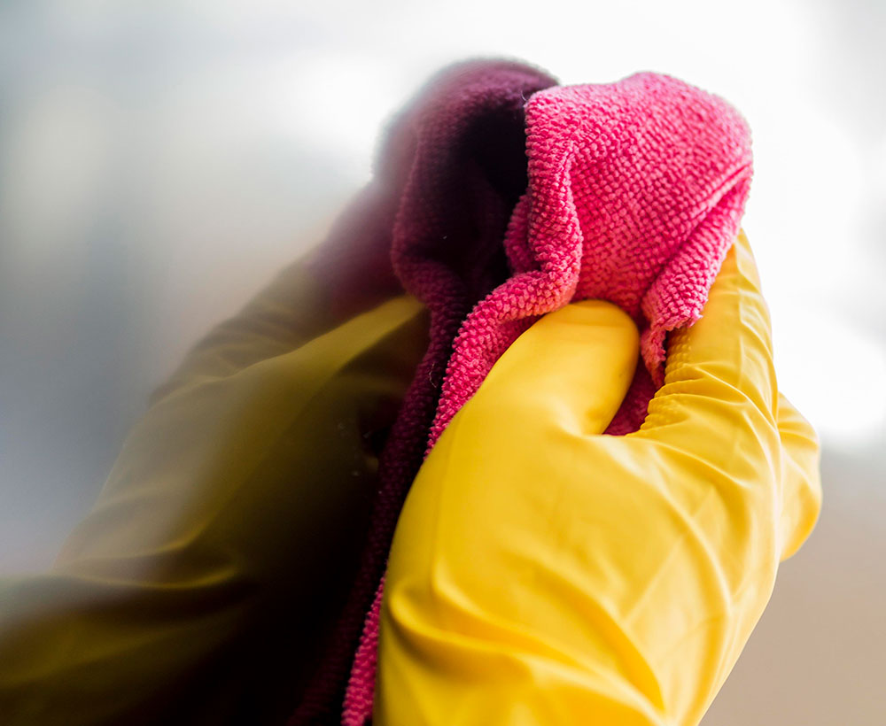 Control de plagas en Valladolid - VallClean